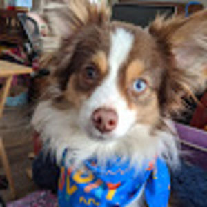 Meet your Posher, Virginia